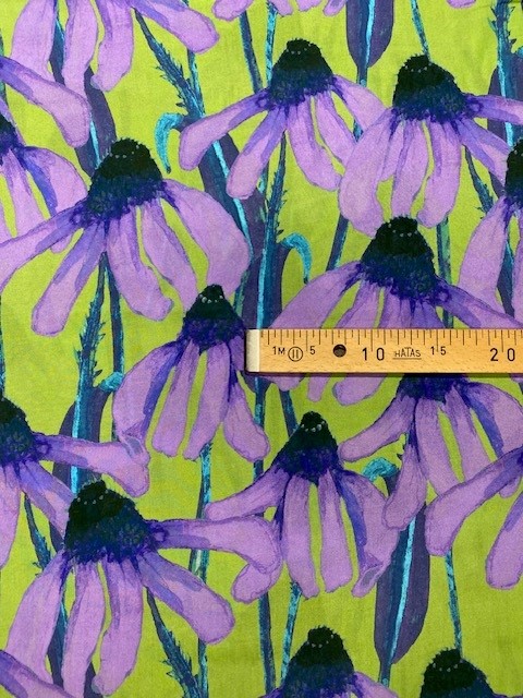 VI grün m violetten Sonnenhutblumen