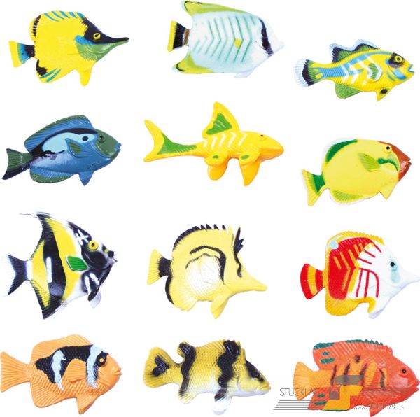 Tropenfische Set 12 Stk.