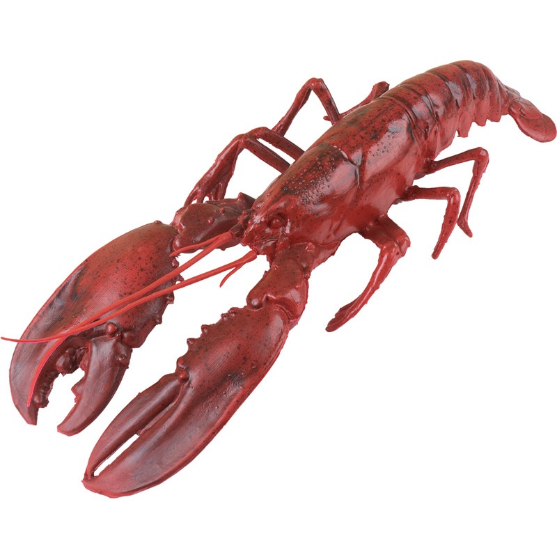 Hummer Gross rot 50cm