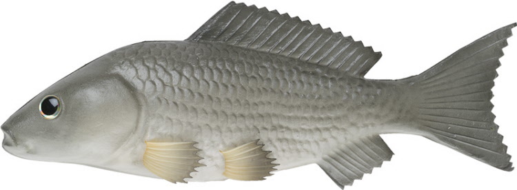 Karpfen Fisch grau 22.5 cm